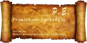 Promintzer Emilián névjegykártya